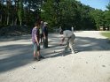 2010-07-06 19-43-54 Auxy-Buthiers - Concours petanque DLe